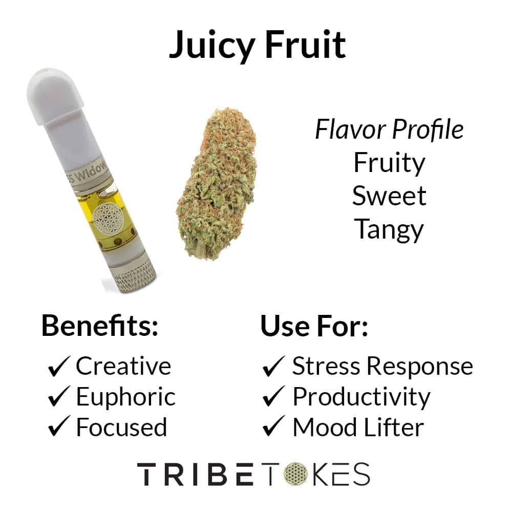 Juicy Fruit Strain Profile 2 1