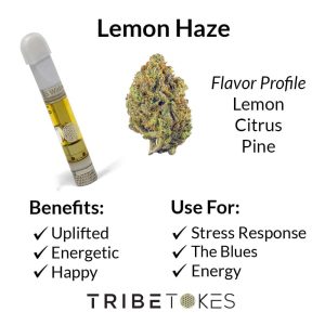 Lemon Haze Strain Profile 2 1