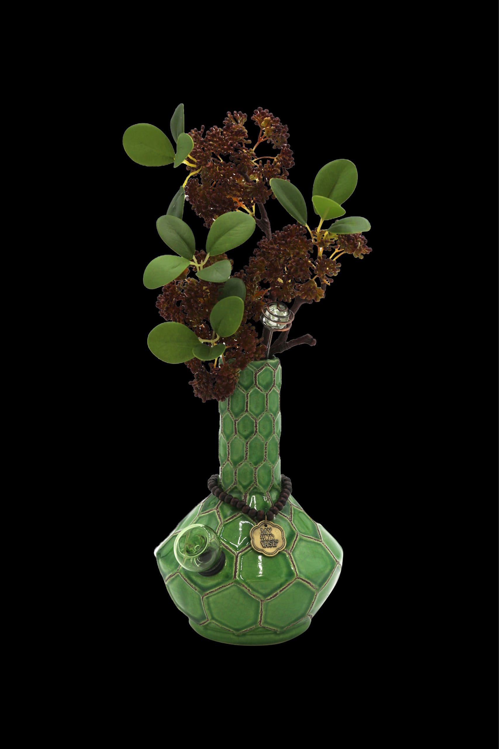 MBV Signature Turtle Hero bcc52837 a0fd 4ab3 b717 72b5353d09a0 scaled