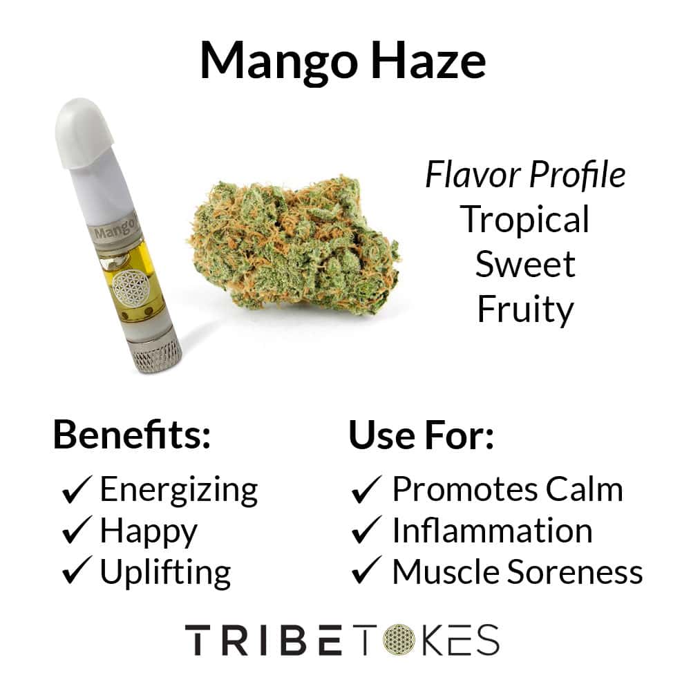 Mango Haze Strain Profile 2