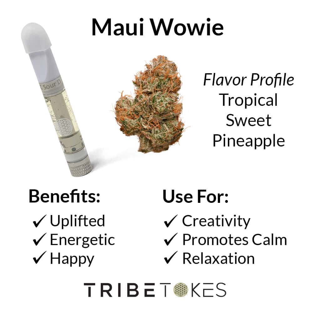 Maui Wowie Strain Profile 1