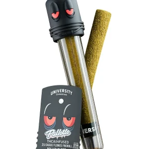 Pablotto University THCA Infused Exotic Flower Pre-Roll 2G