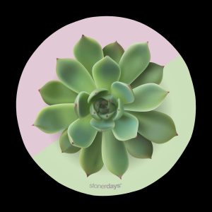StonerDays Succulent Greens Dab Mat