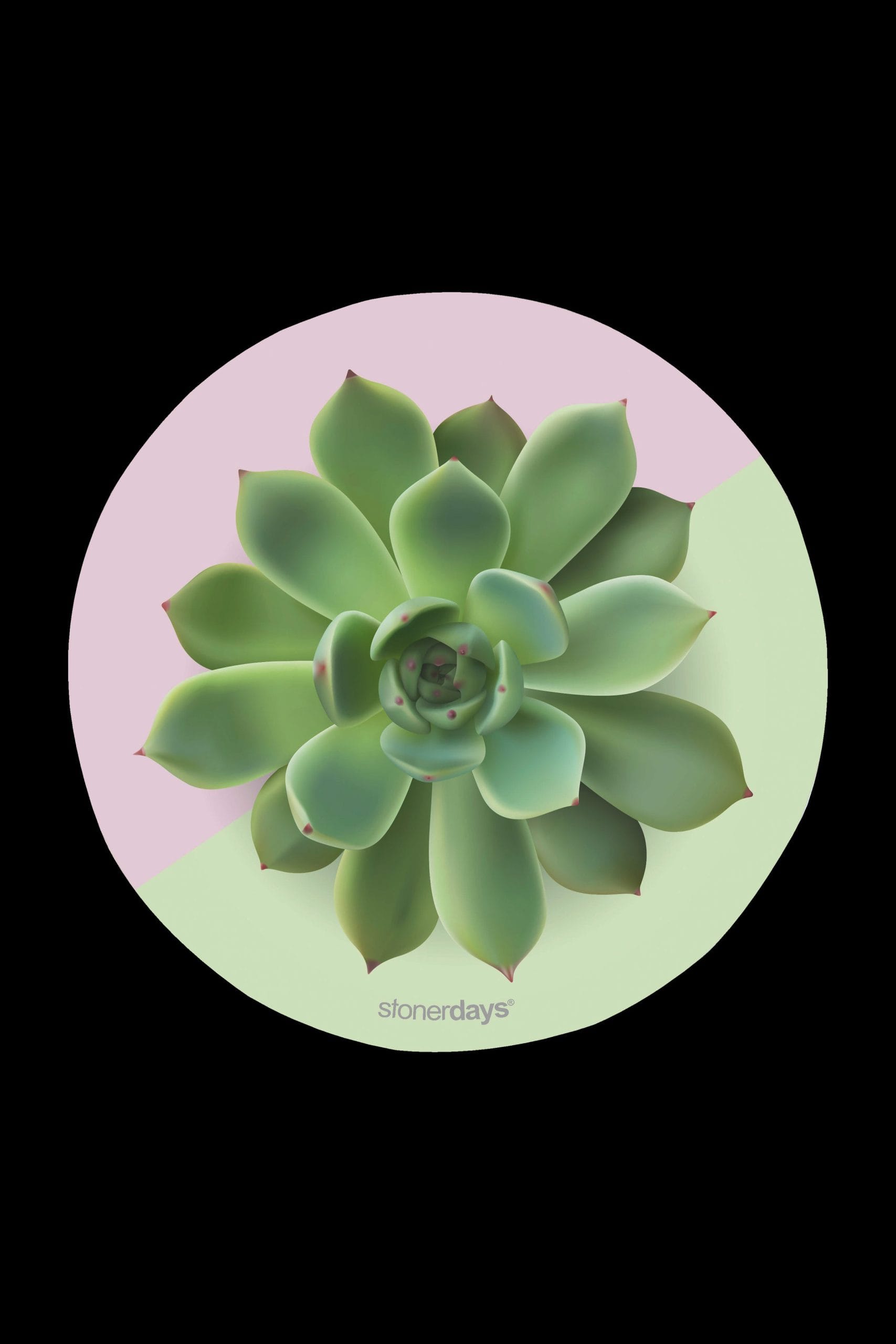 SUCCULENT GREENS scaled