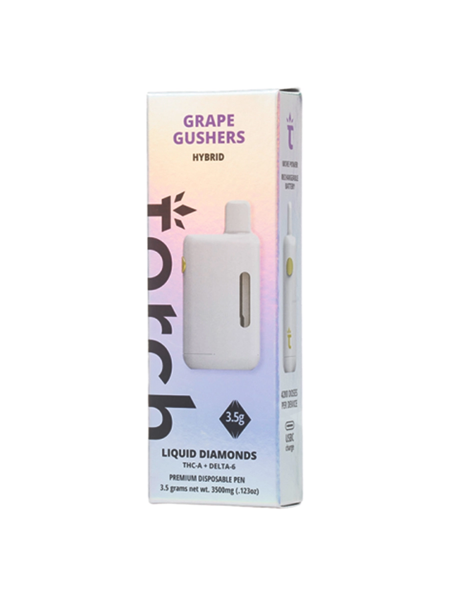 Torch 3 1