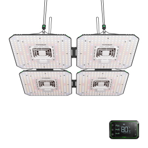 bd8e89fc17847b862d6f50cdd22cc0f2