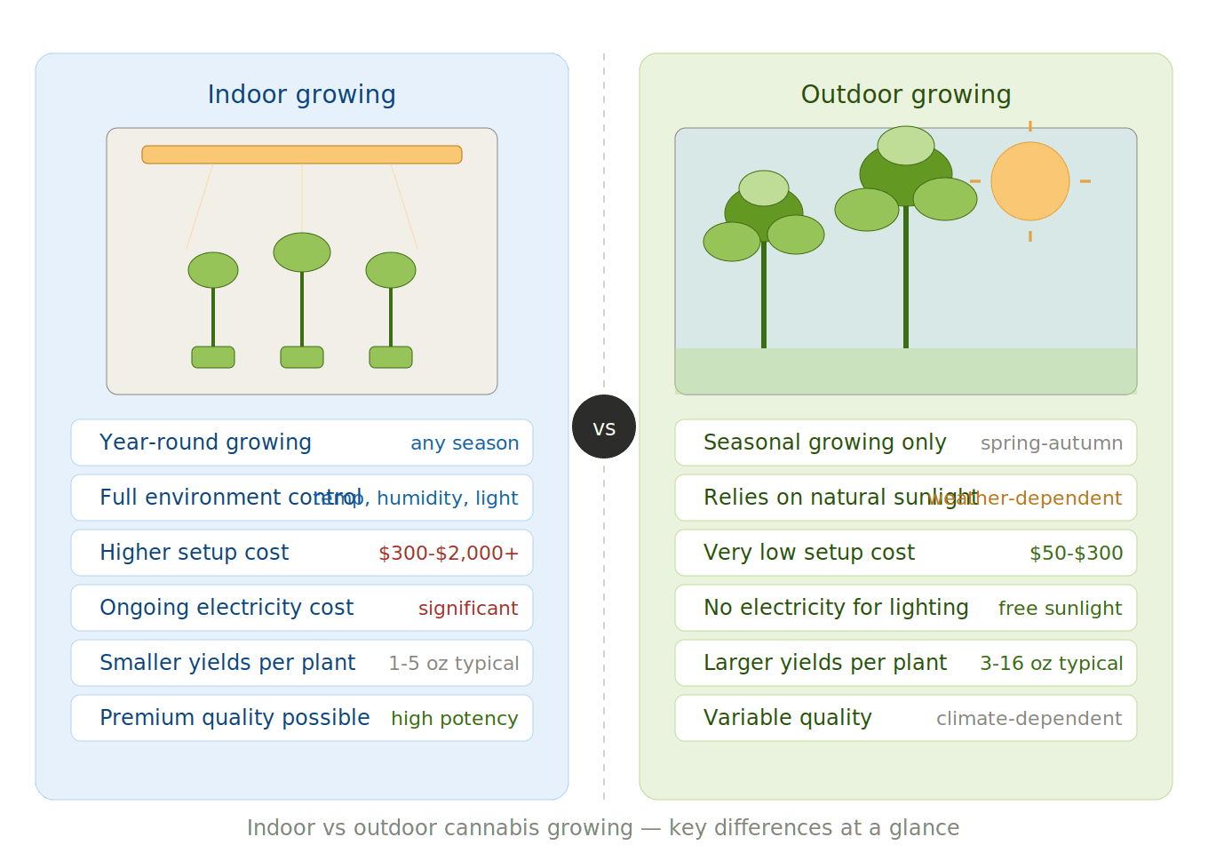 Side-by-side comparison of indoor vs outdoor cannabis growing covering cost, yield, season and quality
