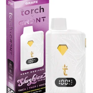 Grape Torch x GRDNT Slushiez Series Disposable 5G