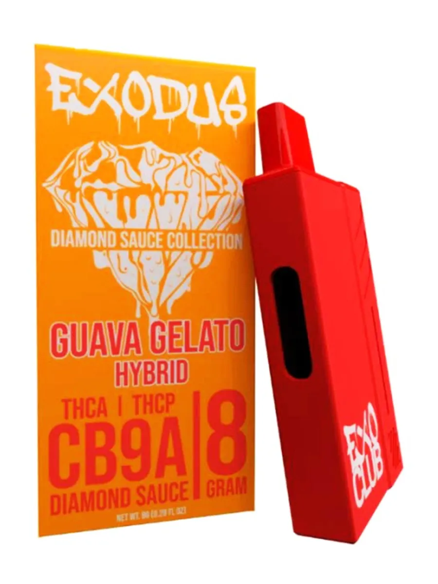Guava Gelato 1