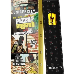 Pizza Breath University THCA Liquid Diamond Disposable 2G