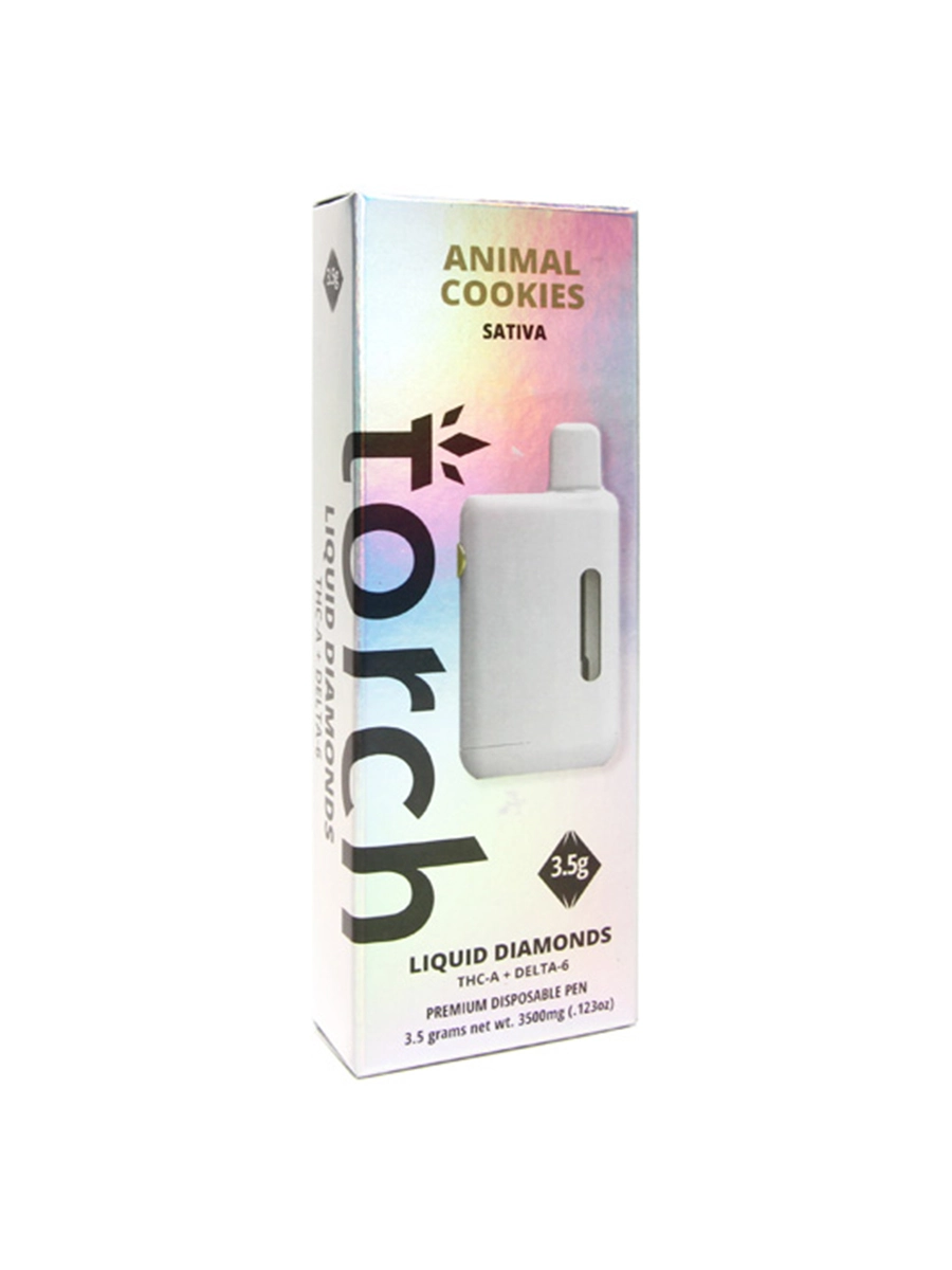 Torch 3 2