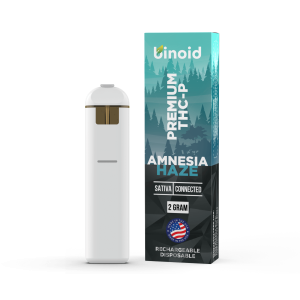 THC-P Rechargeable Disposable - 2 Gram
