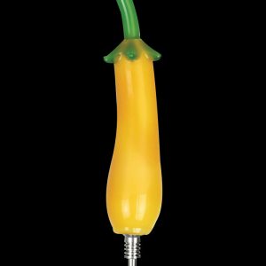 Chinese Eggplant Dab Straw Collector