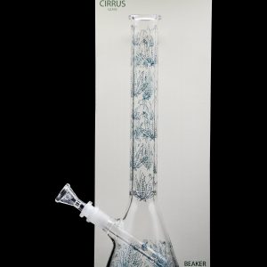 Cirrus Glass Beaker