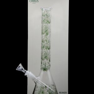 Cirrus Glass Beaker