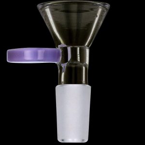 Famous Brandz Glass Bowl with Handle