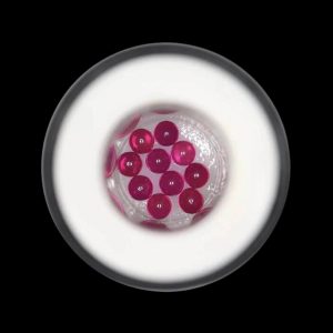 VLAB 3mm Ruby Terp Pearls - 10 Pack