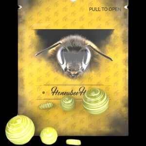 Honeybee Herb Dab Marble Set