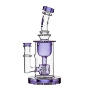 COLORED TORUS - Purple
