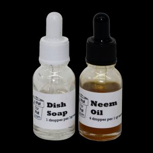 A Pot For Pot Neem Oil Pest Repellant